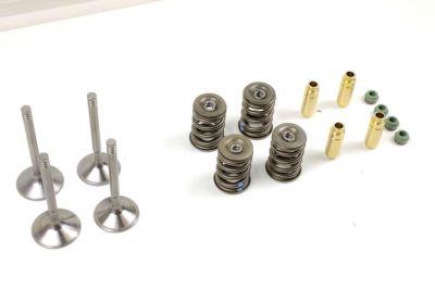 BMW R80R/GS R100R/GS Zylinderkopfüberholung Ventilschaftdichtungen Paralevermodelle Bleifreiumbau