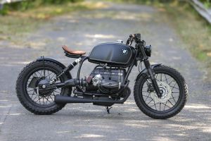 Sport-Evolution Bobber