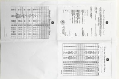 BMW R65 R80 R100 Monolever 2-2 Auspuffanlage hochgelegt mit ABE
