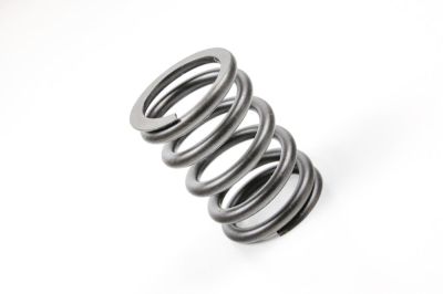 BMW valve spring all two valve models