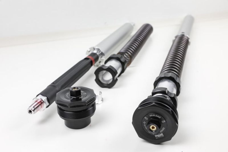 BMW R9T 14-16 Öhlins NIX30 Cartridge Kit