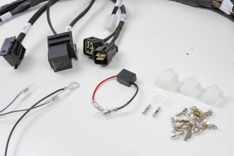 BMW R45 R65 R65 R80 R100 wiring harness for Acewell 4453