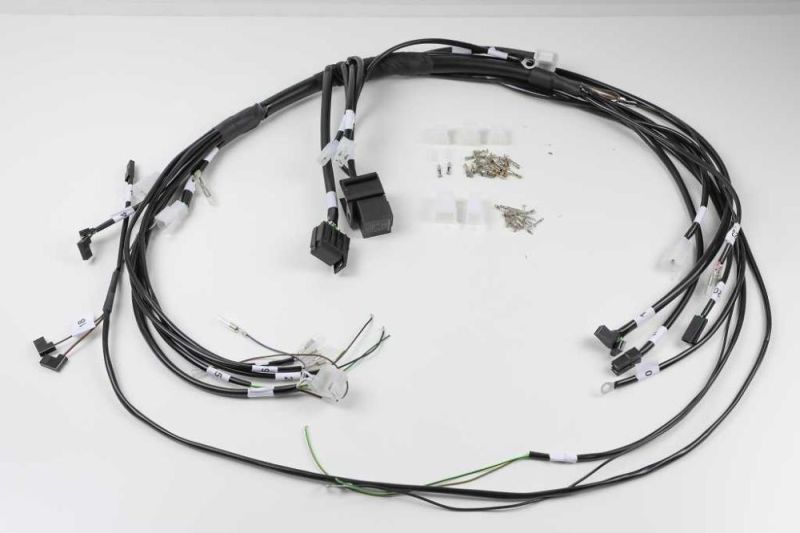 BMW R45 R65 R80 R80 R100 Two-valve wiring harness Universal for conversions Cafe Racer