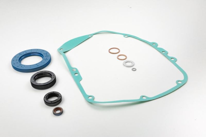 Dichtungssatz BMW Monolever Twinshock 5 Gang Getriebe