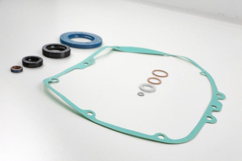 Dichtungssatz BMW Monolever Twinshock 5 Gang Getriebe