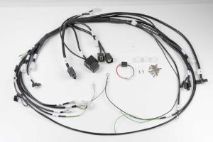 BMW Zweiventiler Kabelbaum