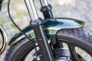 Upgrade Lackierung u. Linierung der Schutzbleche (einfarbig)