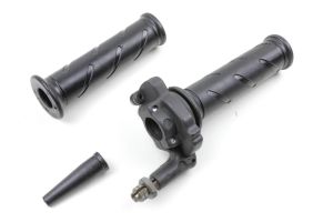 Gasgriff Domino mit Versteller für einen Zug