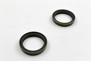 BMW R65 R80 R100 Gabel Simmeringe Monolever