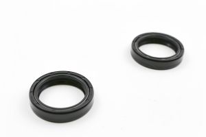 BMW R80R R100R Gabel Simmeringe Paralever